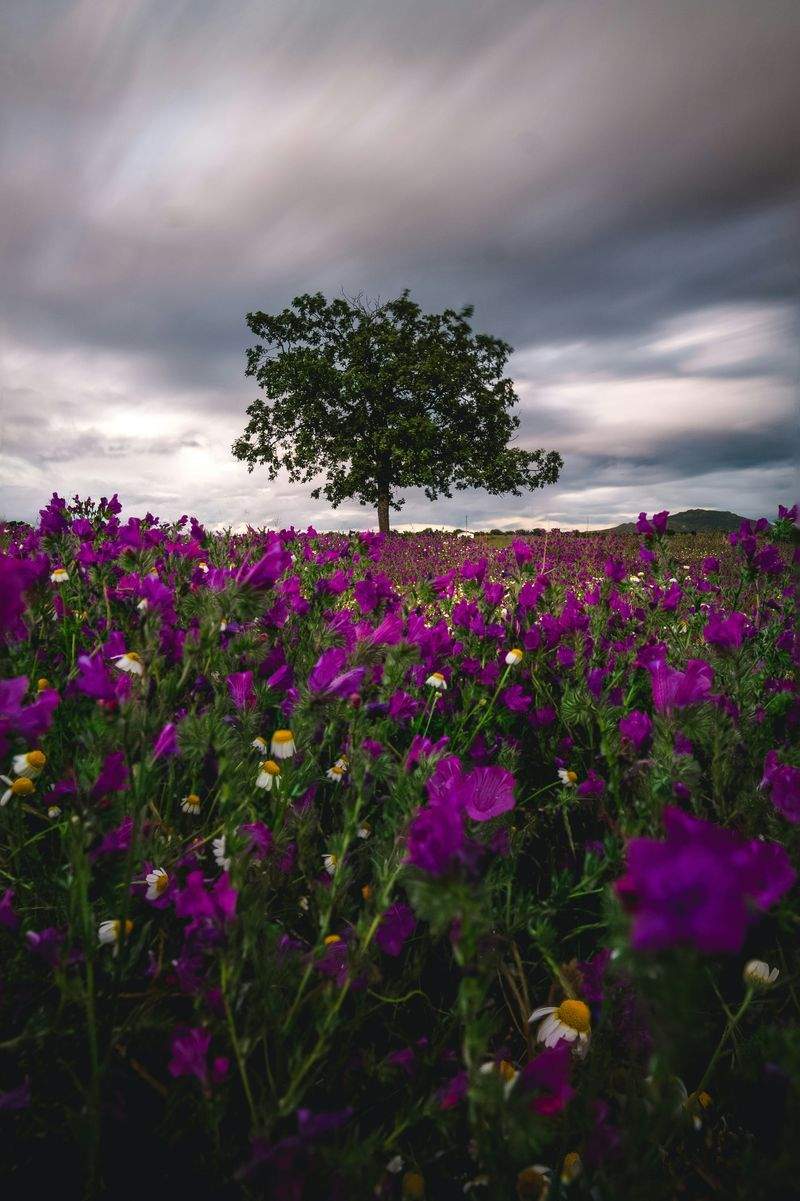 Innovazione Tecnologica Srl - Image 9